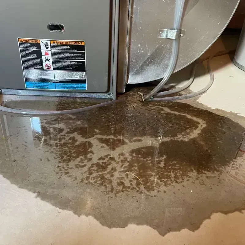 Appliance Leak Cleanup in Tuscola, IL